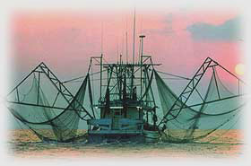 shrimp net, shrimp net Suppliers and Manufacturers at
